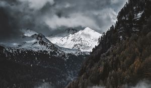 Preview wallpaper mountains, snow, peaks, fog, trees
