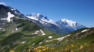 Preview wallpaper mountains, snow peaks, sky, grass, flowers