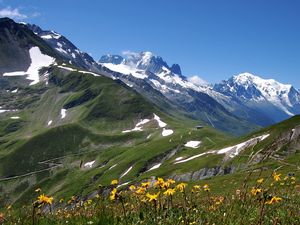 Preview wallpaper mountains, snow peaks, sky, grass, flowers