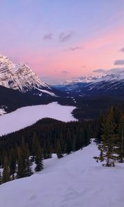 Preview wallpaper mountains, snow, sky, trees, mountain landscape