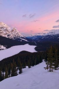 Preview wallpaper mountains, snow, sky, trees, mountain landscape