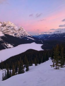 Preview wallpaper mountains, snow, sky, trees, mountain landscape