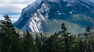 Preview wallpaper mountains, snow, slope, forest, trees, landscape