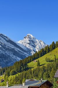 Preview wallpaper mountains, snow, slope, trees, house, nature