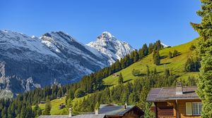 Preview wallpaper mountains, snow, slope, trees, house, nature