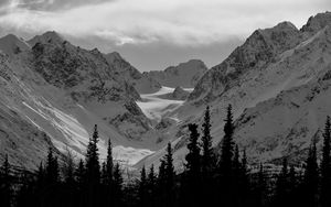 Preview wallpaper mountains, snow, slope, trees, nature