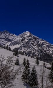 Preview wallpaper mountains, snow, slope, trees, view, landscape, night