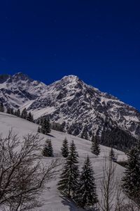 Preview wallpaper mountains, snow, slope, trees, view, landscape, night