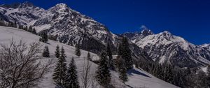 Preview wallpaper mountains, snow, slope, trees, view, landscape, night