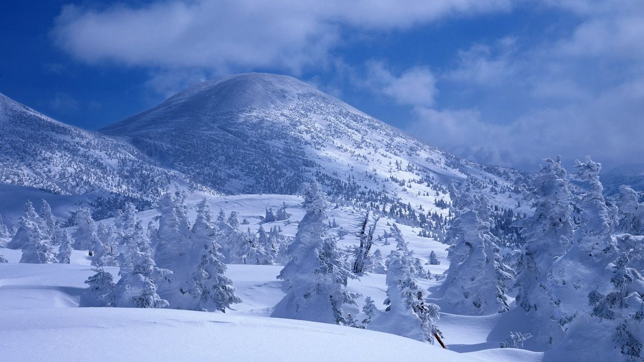 Wallpaper mountains, snow, snowdrifts, trees, cover, white, veil