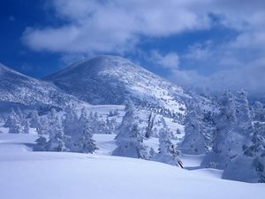Preview wallpaper mountains, snow, snowdrifts, trees, cover, white, veil