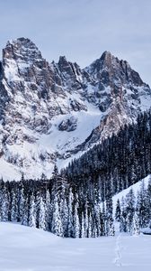 Preview wallpaper mountains, snow, snowy, trees, winter, italy