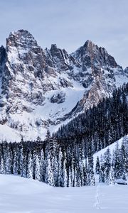 Preview wallpaper mountains, snow, snowy, trees, winter, italy