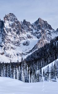 Preview wallpaper mountains, snow, snowy, trees, winter, italy