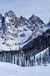 Preview wallpaper mountains, snow, snowy, trees, winter, italy