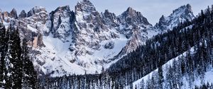 Preview wallpaper mountains, snow, snowy, trees, winter, italy