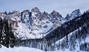 Preview wallpaper mountains, snow, snowy, trees, winter, italy