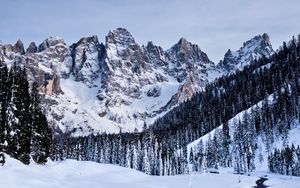 Preview wallpaper mountains, snow, snowy, trees, winter, italy