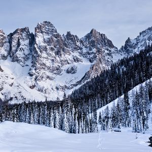 Preview wallpaper mountains, snow, snowy, trees, winter, italy