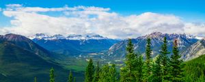 Preview wallpaper mountains, snow, snowy, spruce, trees