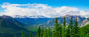 Preview wallpaper mountains, snow, snowy, spruce, trees