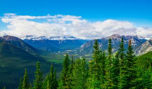 Preview wallpaper mountains, snow, snowy, spruce, trees