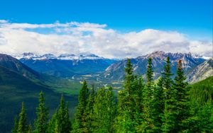 Preview wallpaper mountains, snow, snowy, spruce, trees