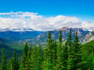 Preview wallpaper mountains, snow, snowy, spruce, trees