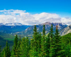 Preview wallpaper mountains, snow, snowy, spruce, trees