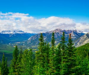 Preview wallpaper mountains, snow, snowy, spruce, trees