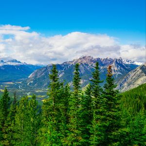 Preview wallpaper mountains, snow, snowy, spruce, trees