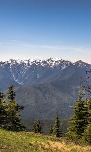 Preview wallpaper mountains, snow, snowy, spruce, slope, grass