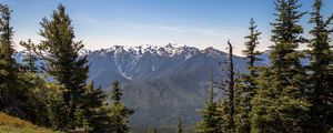 Preview wallpaper mountains, snow, snowy, spruce, slope, grass