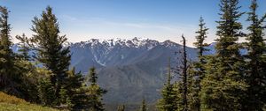 Preview wallpaper mountains, snow, snowy, spruce, slope, grass