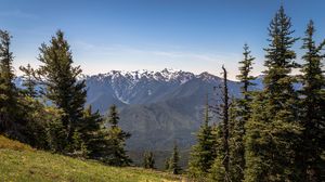 Preview wallpaper mountains, snow, snowy, spruce, slope, grass