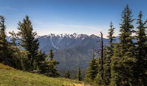 Preview wallpaper mountains, snow, snowy, spruce, slope, grass