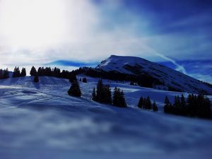 Preview wallpaper mountains, snow, spruce, light