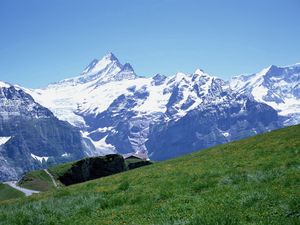 Preview wallpaper mountains, snow, stones, meadow, slope, track, grass