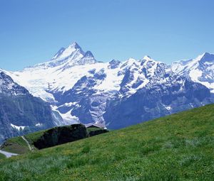 Preview wallpaper mountains, snow, stones, meadow, slope, track, grass