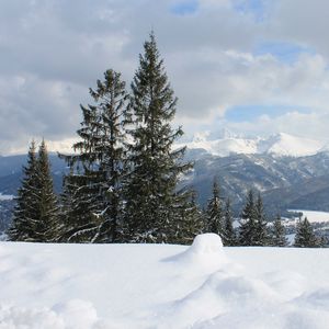 Preview wallpaper mountains, snow, tatra mountains, carpathians