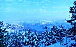 Preview wallpaper mountains, snow, trees, winter, aerial view