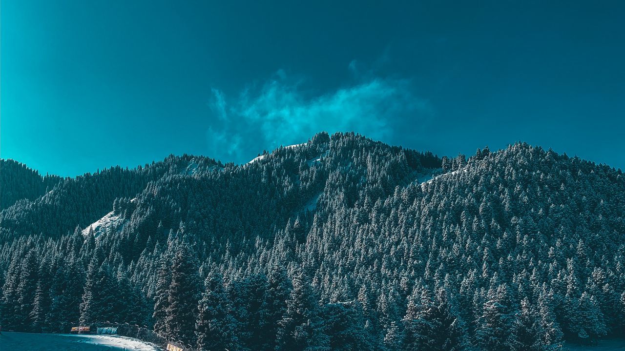 Wallpaper mountains, snow, trees, winter, ski run