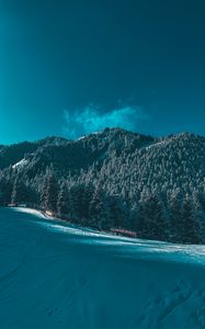 Preview wallpaper mountains, snow, trees, winter, ski run