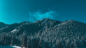 Preview wallpaper mountains, snow, trees, winter, ski run