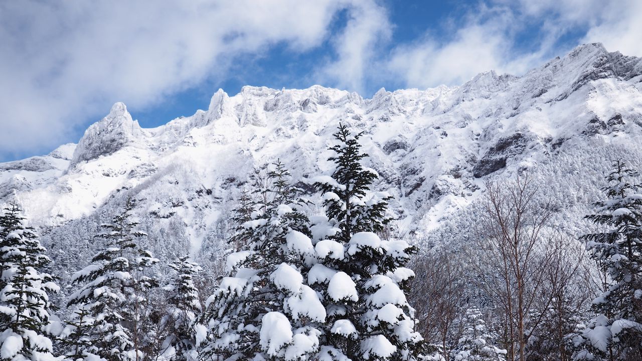 Wallpaper mountains, snow, trees, landscape, winter