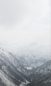 Preview wallpaper mountains, snow, trees, valley, landscape