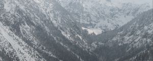 Preview wallpaper mountains, snow, trees, valley, landscape