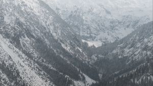 Preview wallpaper mountains, snow, trees, valley, landscape