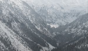 Preview wallpaper mountains, snow, trees, valley, landscape