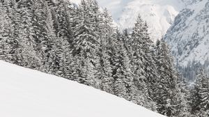 Preview wallpaper mountains, snow, trees, winter, landscape